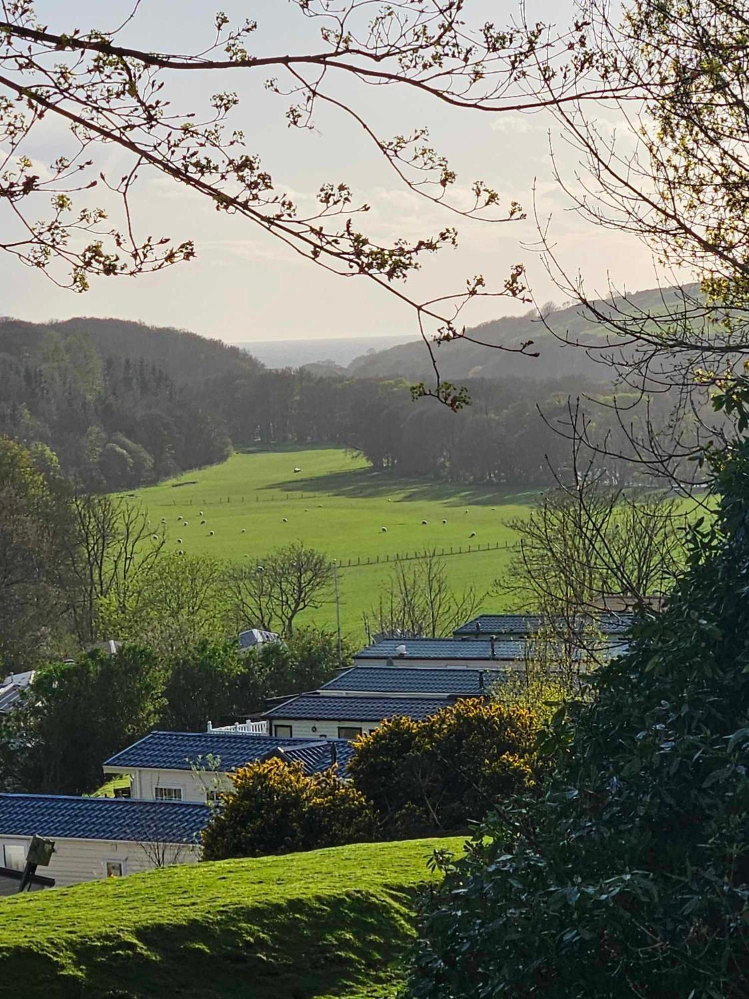 The Sunny Bunny Holiday Home Ballantrae Exteriör bild